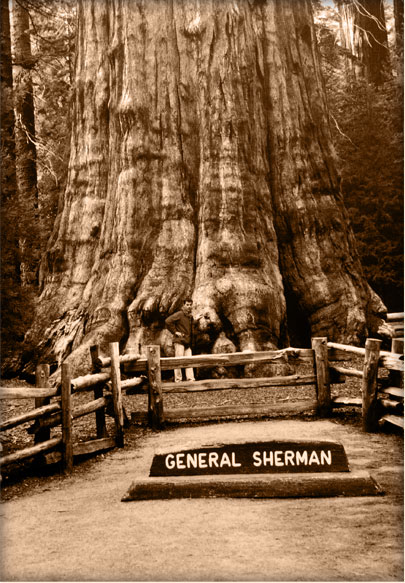 General Sherman