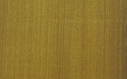 Afrormosia