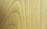Castagno fiammato