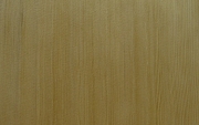 Hemlock