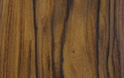 Palissandro Santos