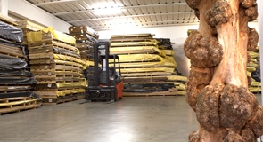 Our warehouse in Montecchio